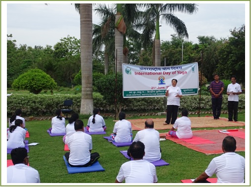 ciwa_yogaday