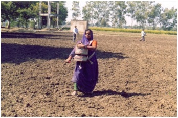 Fertilizer broadcaster